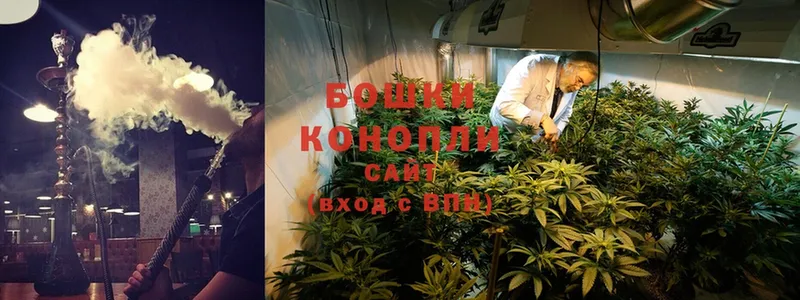 МЕГА зеркало  Кингисепп  Канабис LSD WEED 